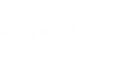 partners who work with Indusbet